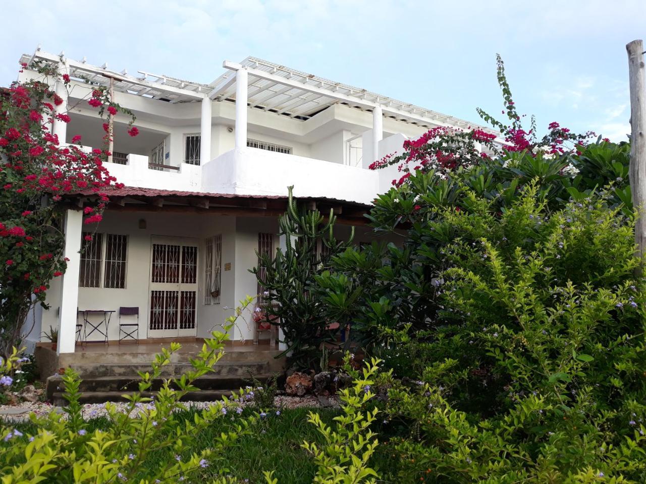 Nakupenda Apartments Kiwengwa  Exterior foto